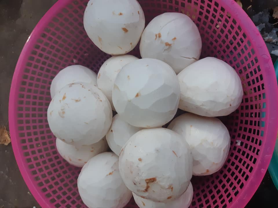 máy bóc gáo dừa