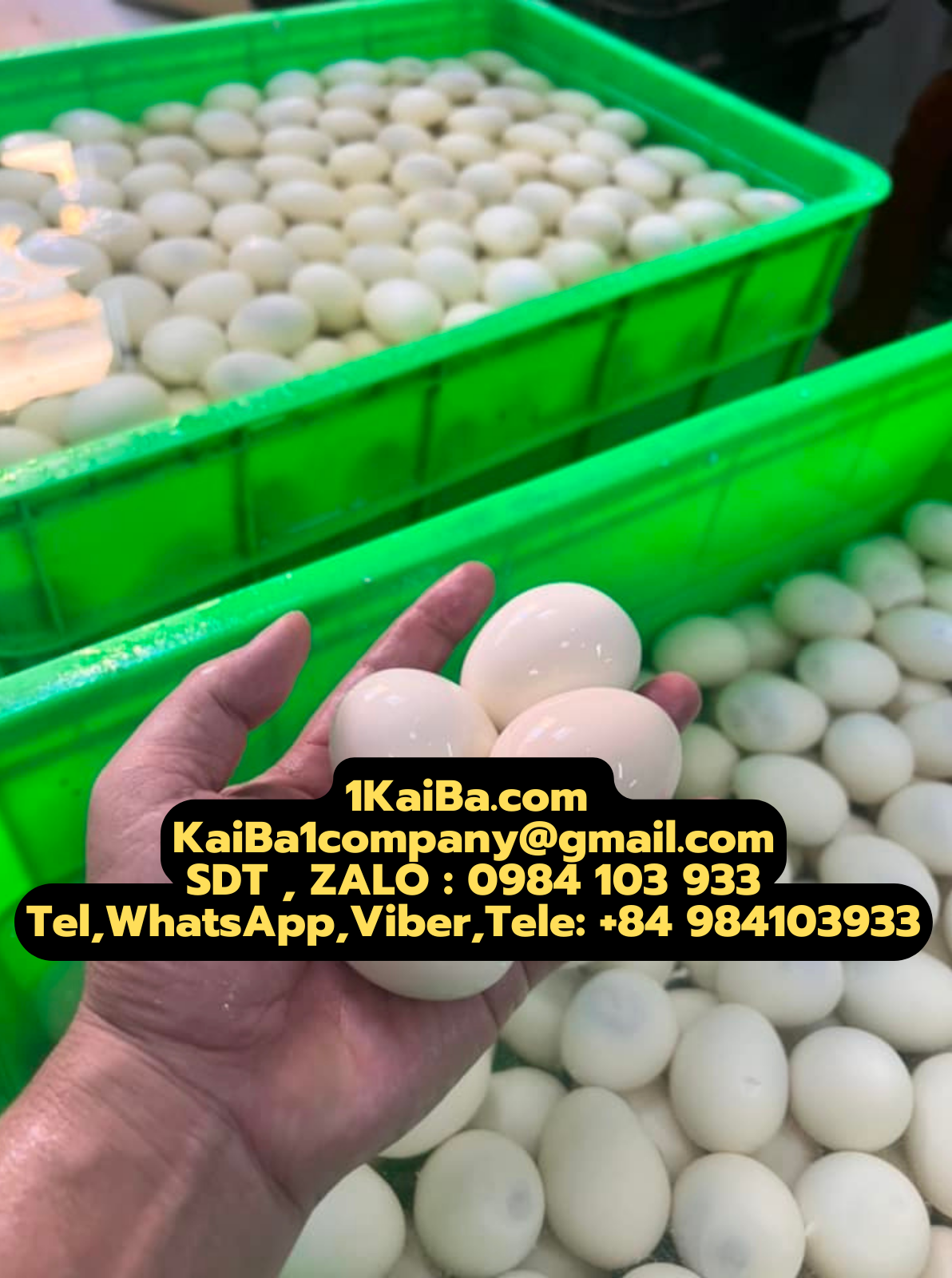 Máy Lột Vỏ Trứng Cút