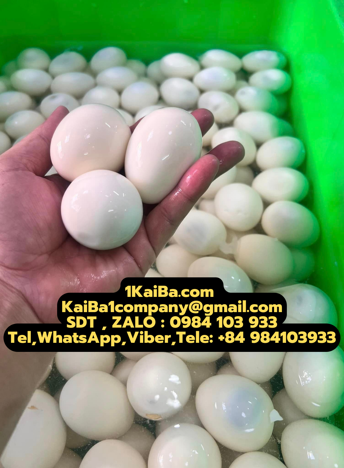 Máy Lột Vỏ Trứng Cút