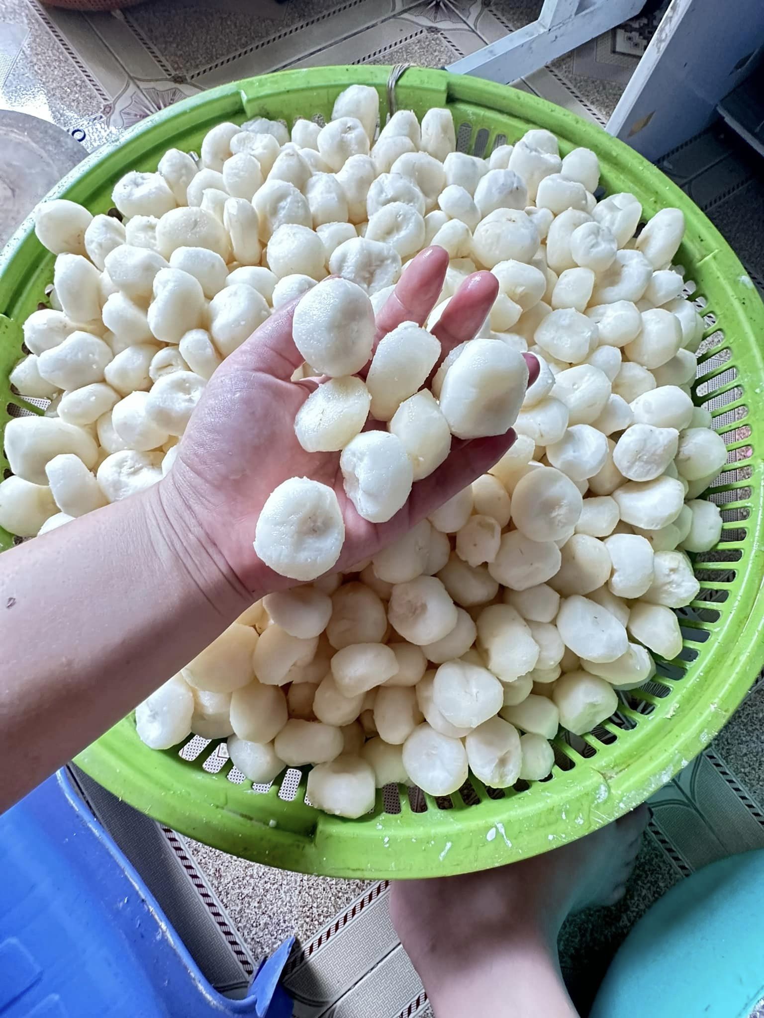 Máy Gọt Vỏ Củ Năng