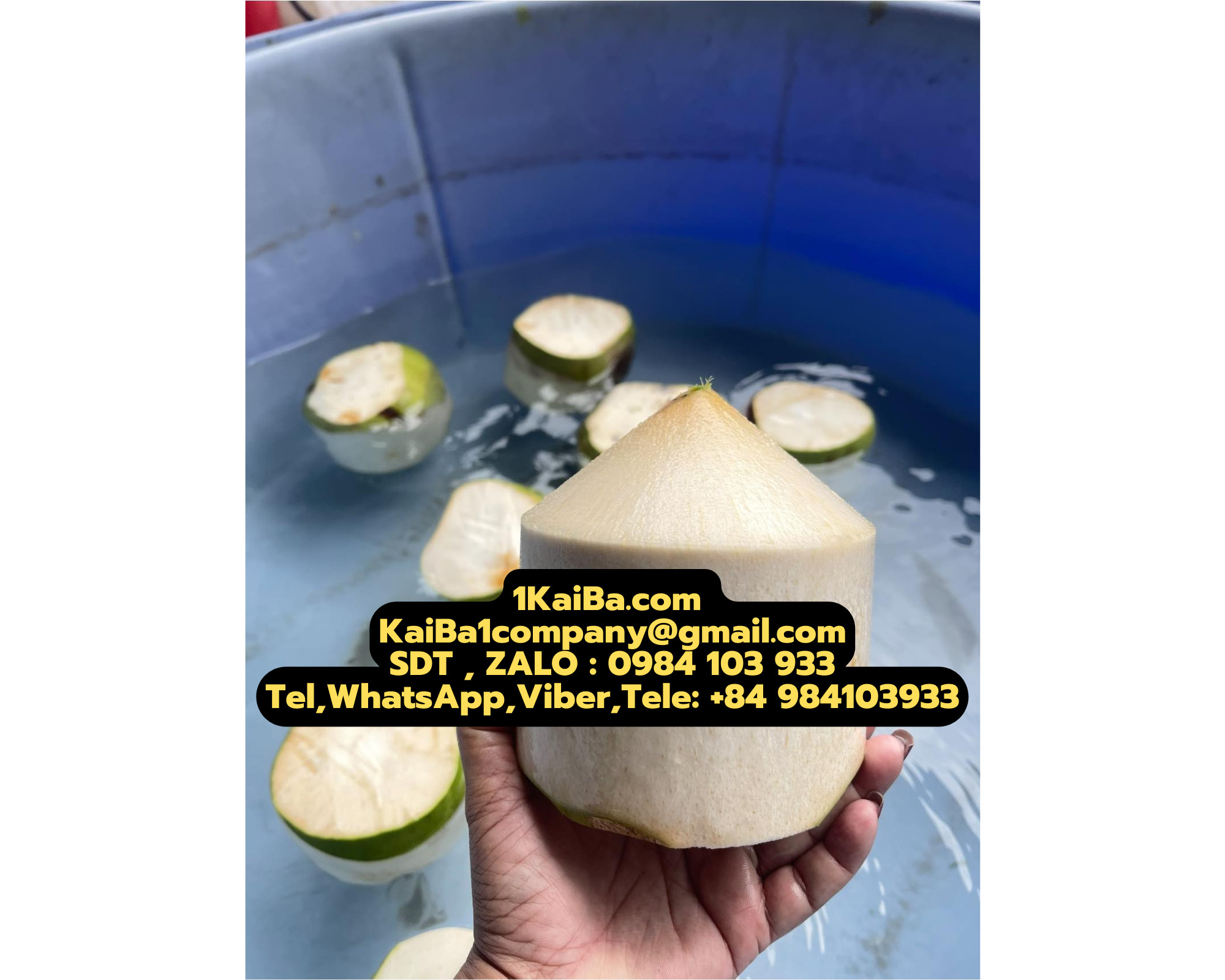 z4311568761046_0e3c6df098290136c21e5957aa6be39e