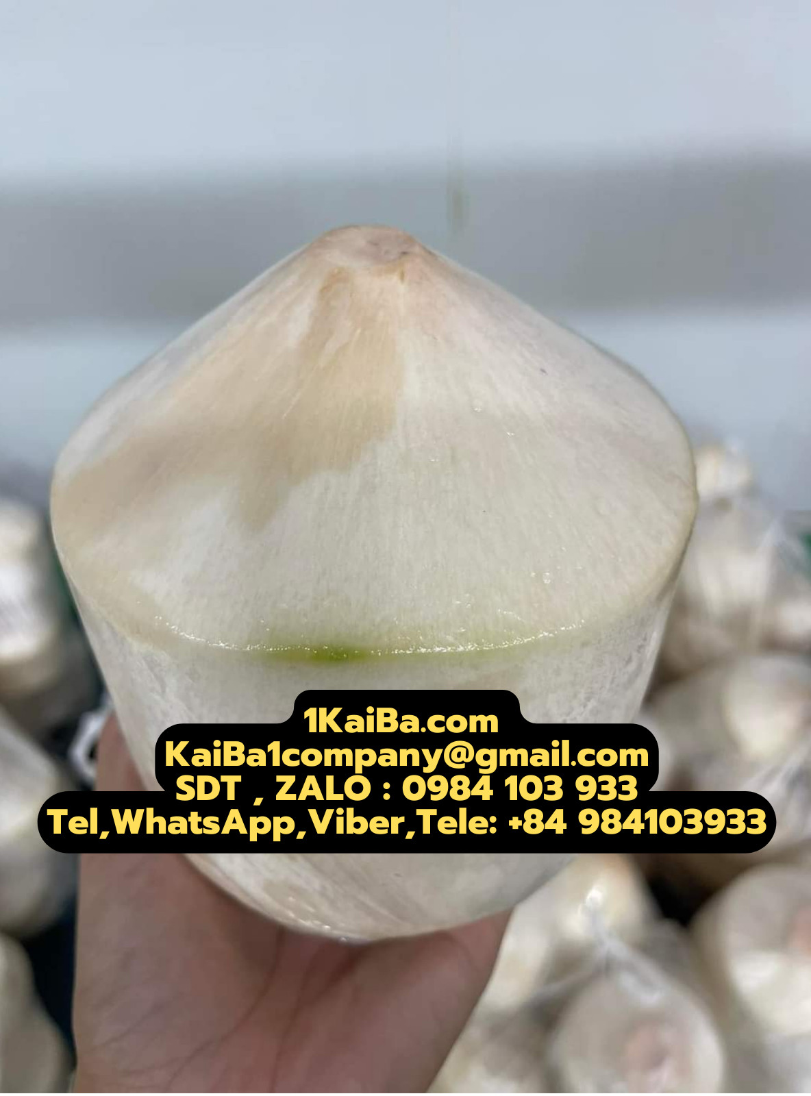 máy gọt dừa kim cương Kaiba