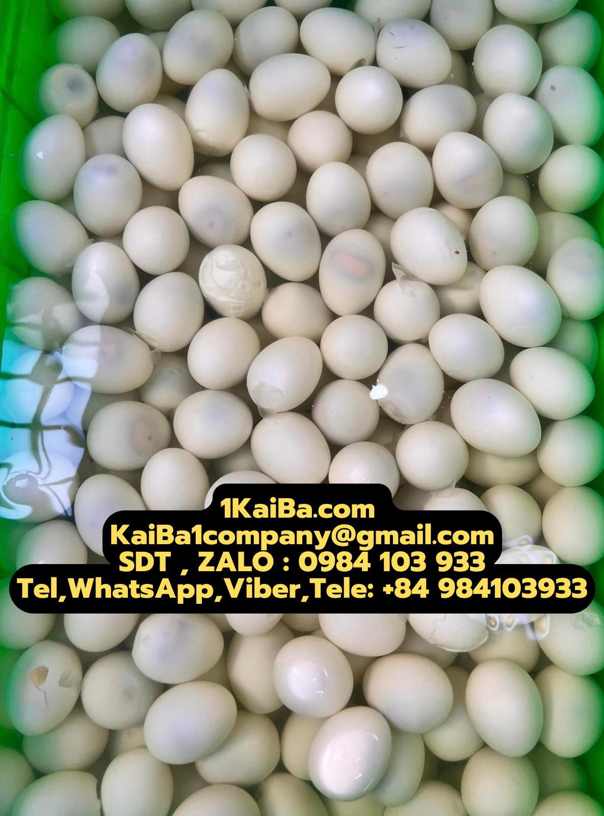 Máy Lột Vỏ Trứng Gà