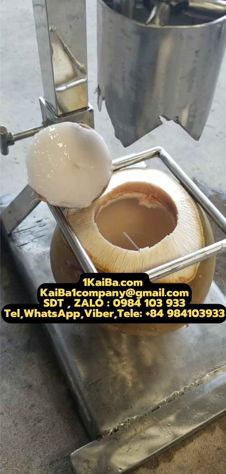 máy đục lỗ dừa rau câu