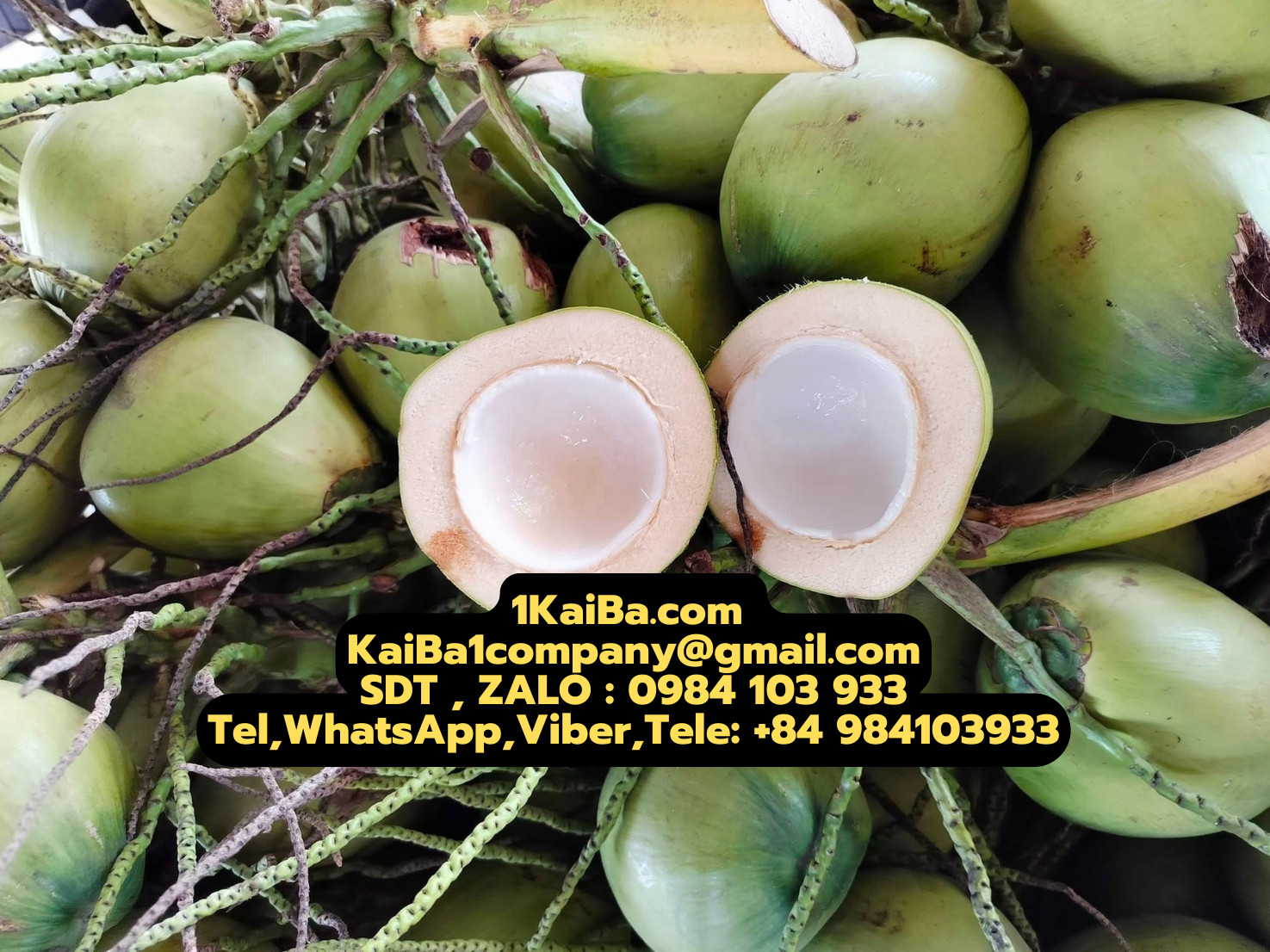 máy chặt dừa