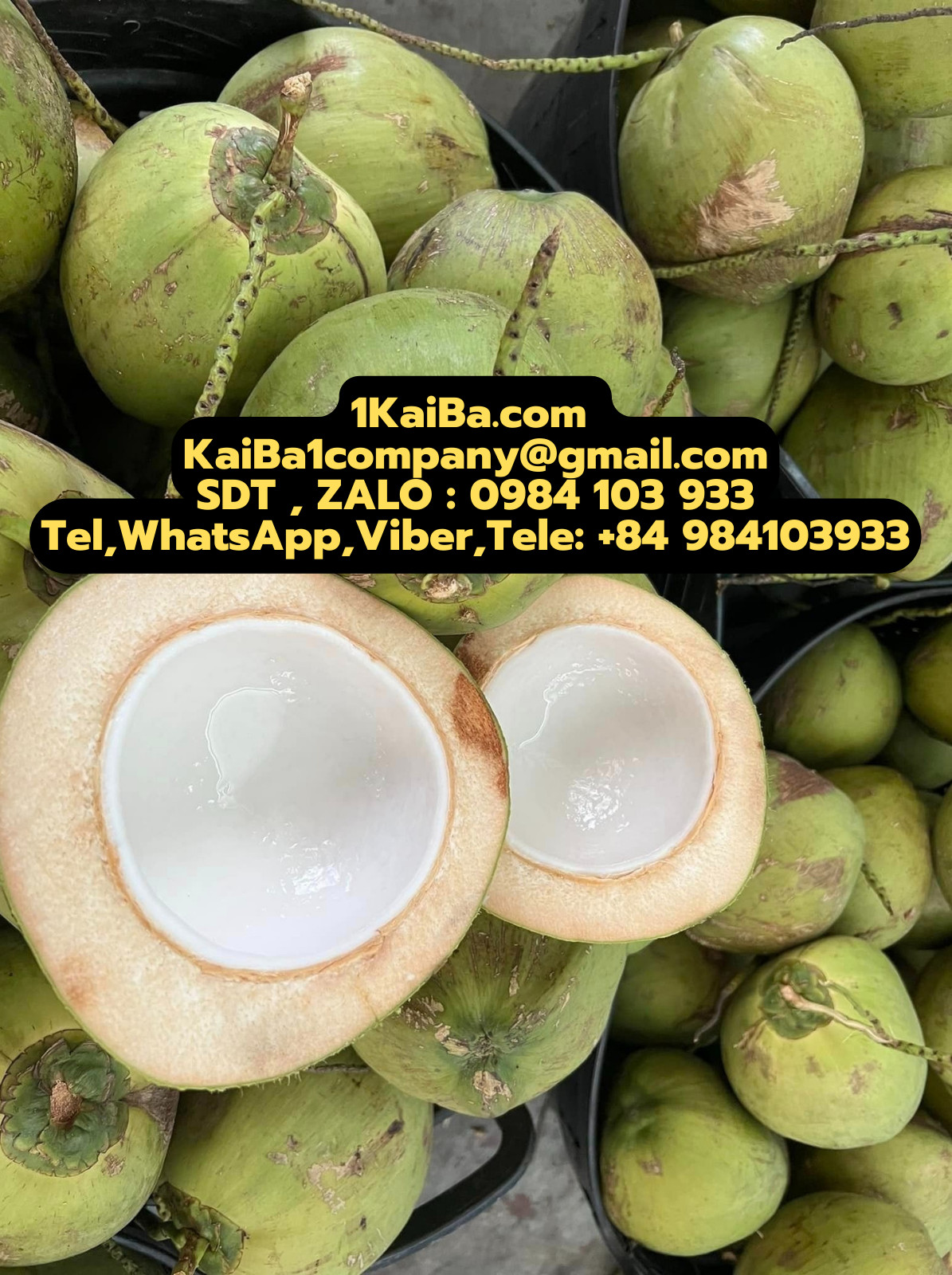 Máy chặt dừa tươi Kaiba