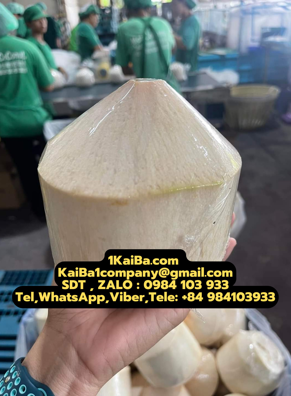 máy gọt dừa