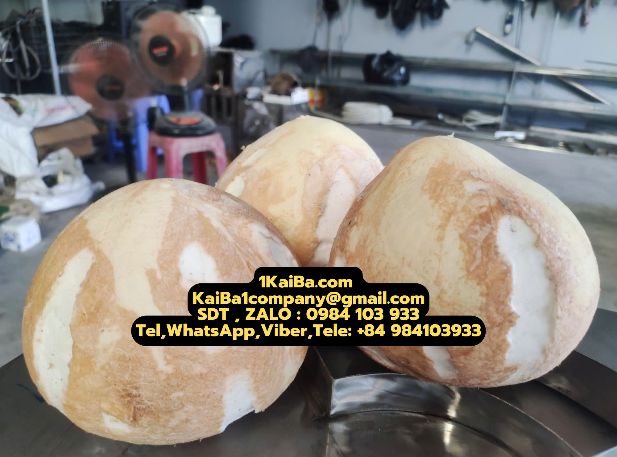 máy tách gáo dừa